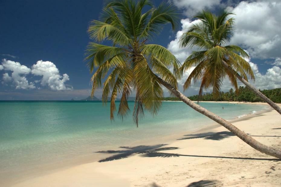 Holidays In Martinique - Ravenala Sainte-Anne Exterior foto